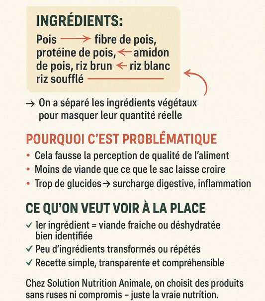 Comment repérer la fragmentation alimentaire dans les croquettes pour chiens et chats