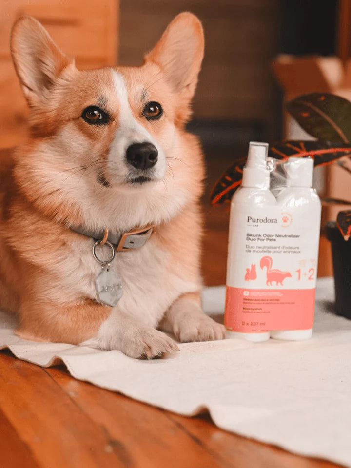 PURODORA LAB | Neutralisant d'odeur moufette pour chiens et chats