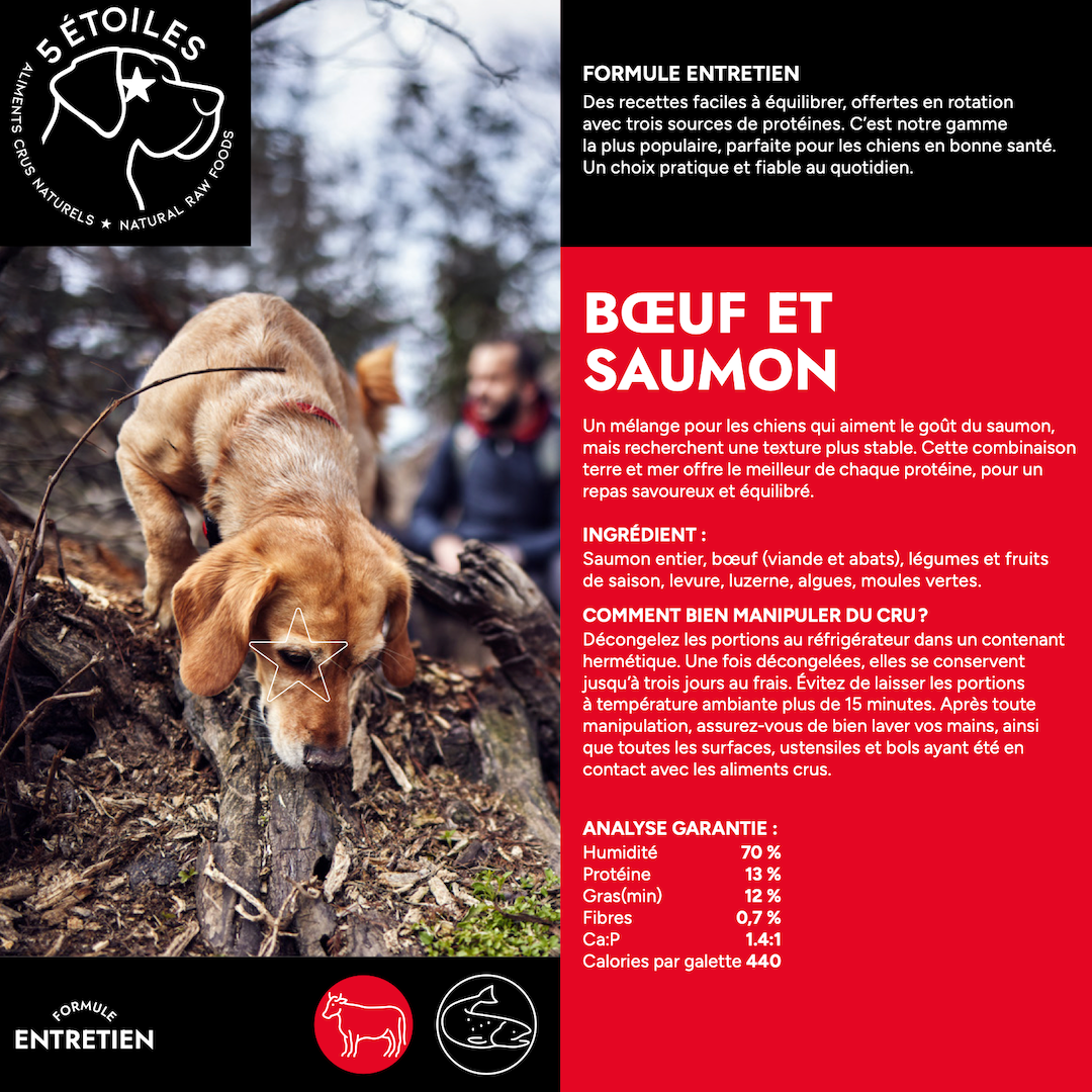 5 ÉTOILES | Entretient Boeuf et Saumon 10 lbs - Nourriture crue pour chiens