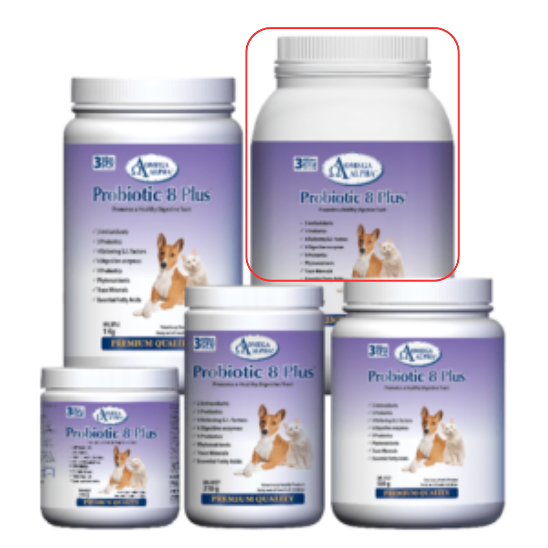 OMEGA ALPHA | Probiotique 8 plus - Supplément pour chien et chat