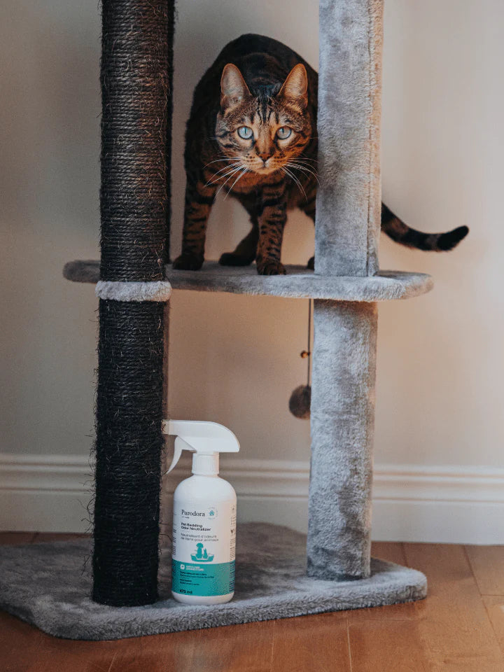 PURODORA LAB | Neutralisant d'odeur de literie animaux 473 ml