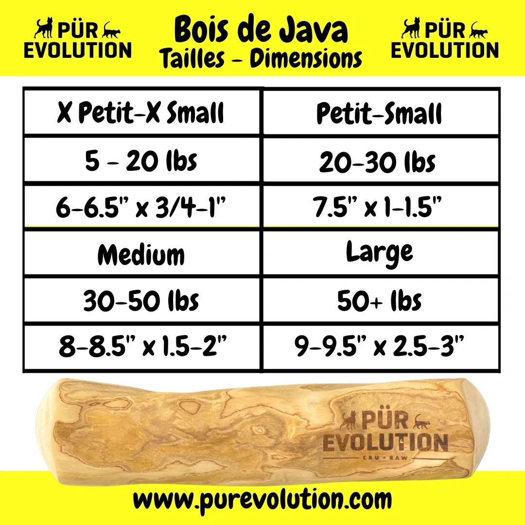 LIQUIDATION PÜR ÉVOLUTION | Bois de java