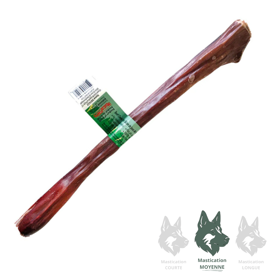 BULLSTERS | Bully Stick farci de joue de boeuf 12"- Gâterie déshydratée pour chiens