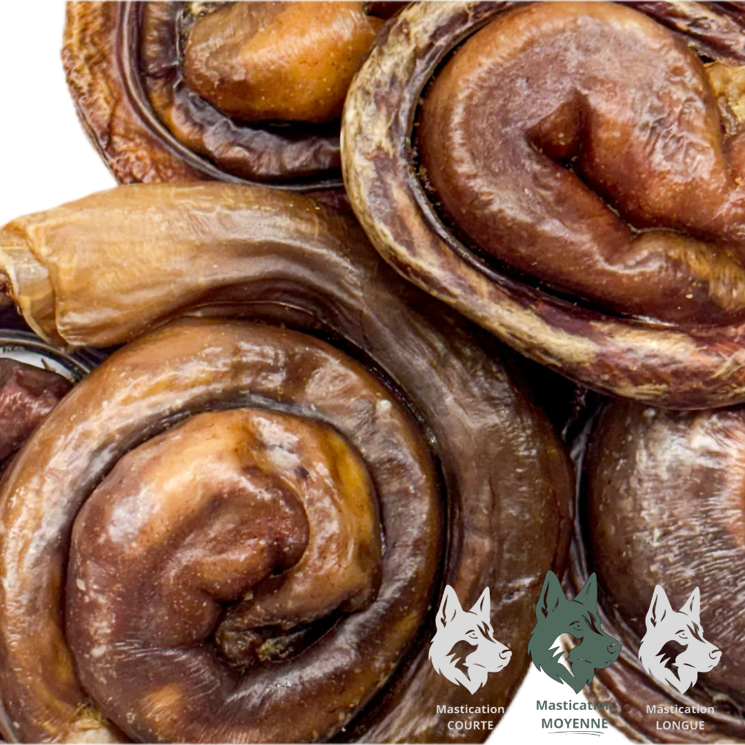 KYON | Oesophage de porc brioche