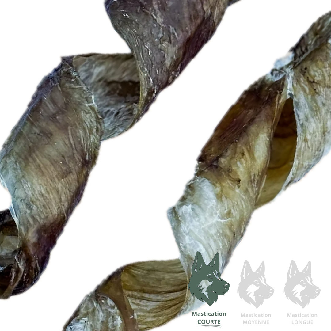 KYON | Spirale de vessie de boeuf 12"