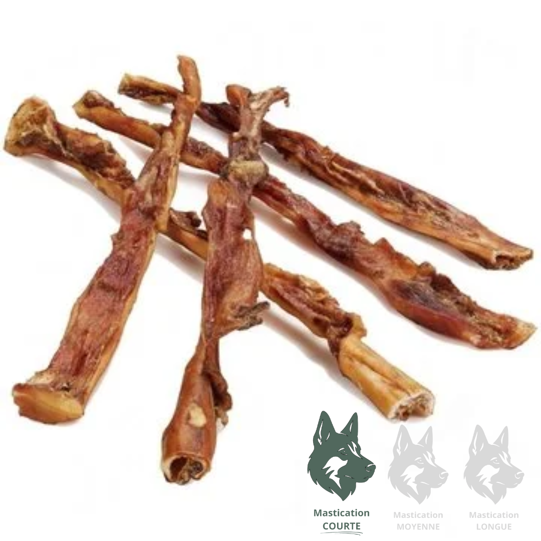 KYON | Sac de pénis de veau 4-6" (10 unités)