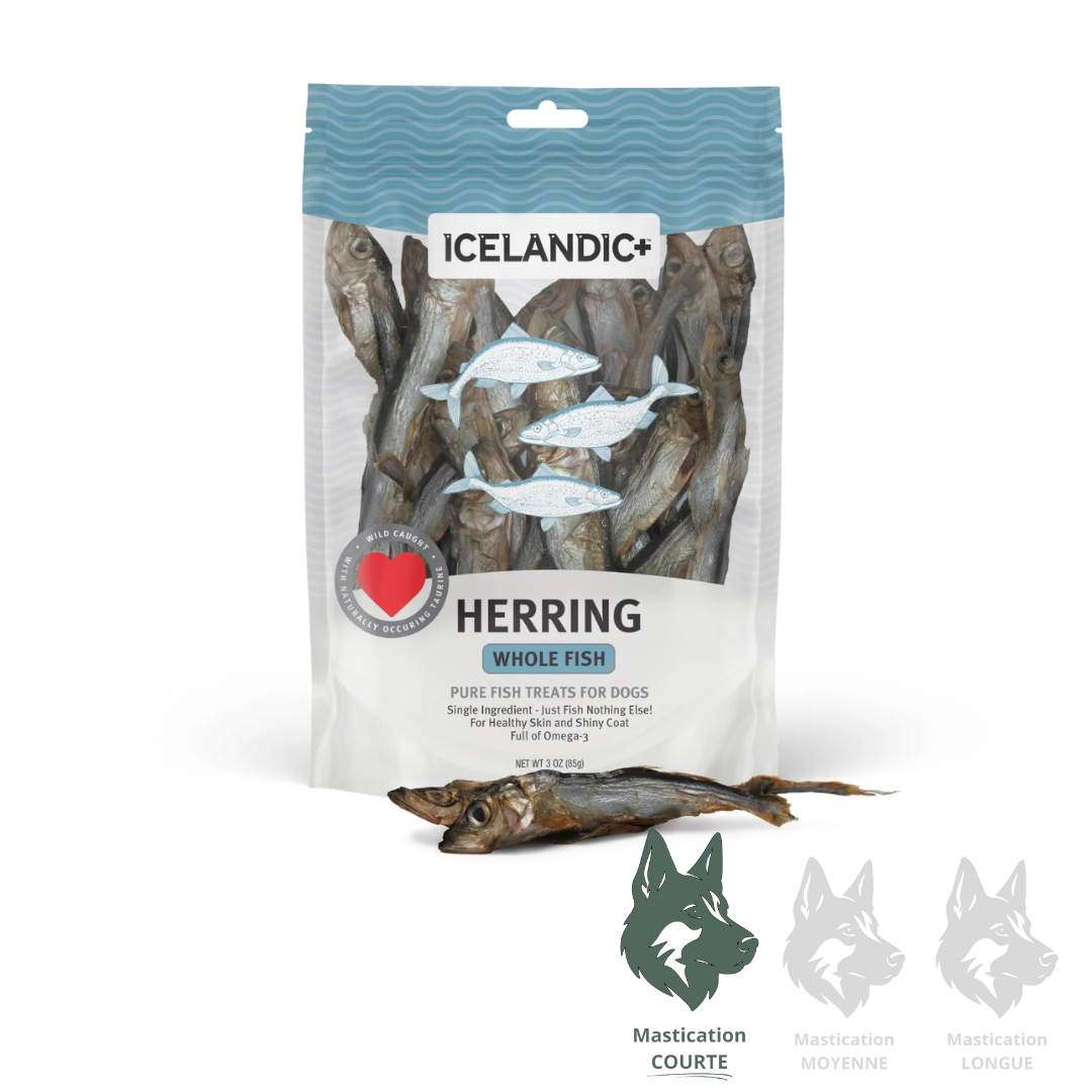 ICELANDIC+ | Hareng entier - gâterie pour chiens
