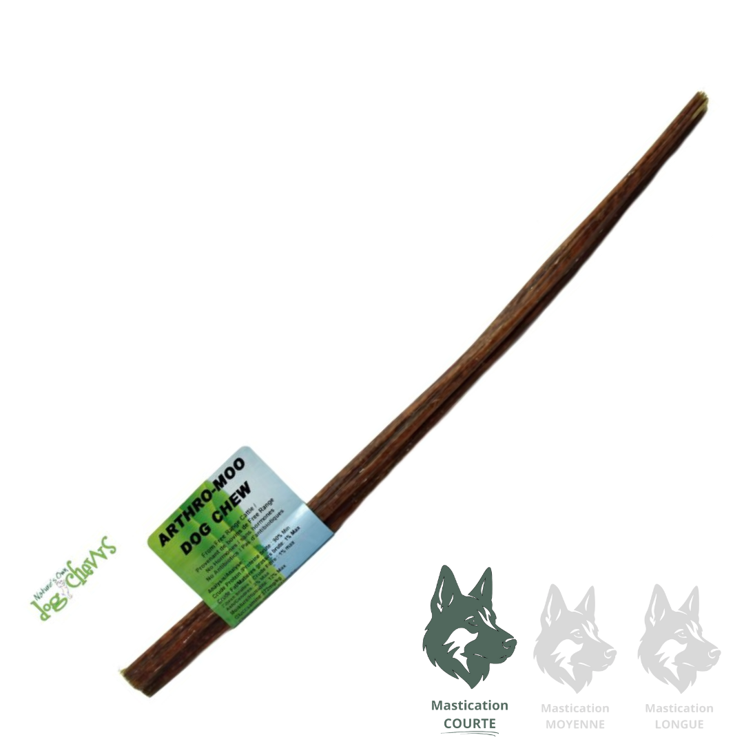 NATURE'S OWN | Bâton d'oesophage de boeuf 12'' - Gâterie déshydratée pour chiens