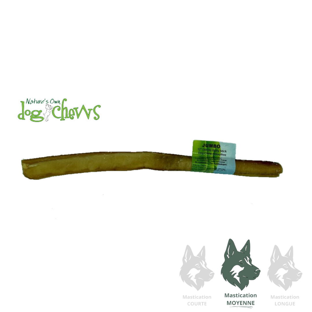 NATURE'S OWN | Bully Stick jumbo sans odeur 12'' - Gâterie déshydratée pour chiens