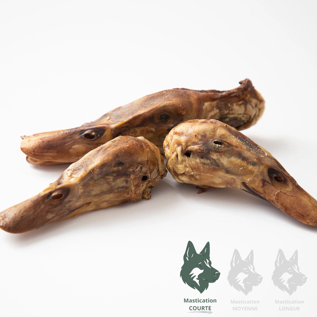 GVQ | Têtes de canard (3unités)