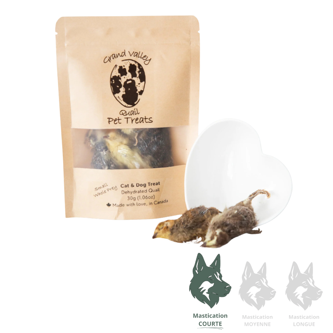 LIQUIDATION | Cailles adultes complètes - Gâterie lyophilisée pour chiens et chats