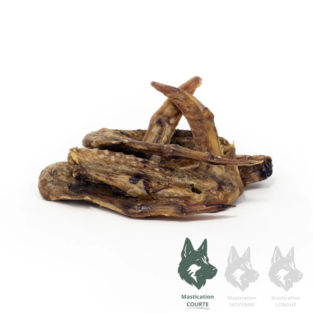 Ailes de canards déshydratées