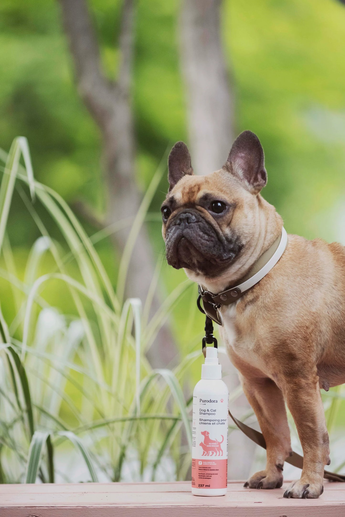 PURODORA LAB | Shampoing sans rinçage pour animaux
