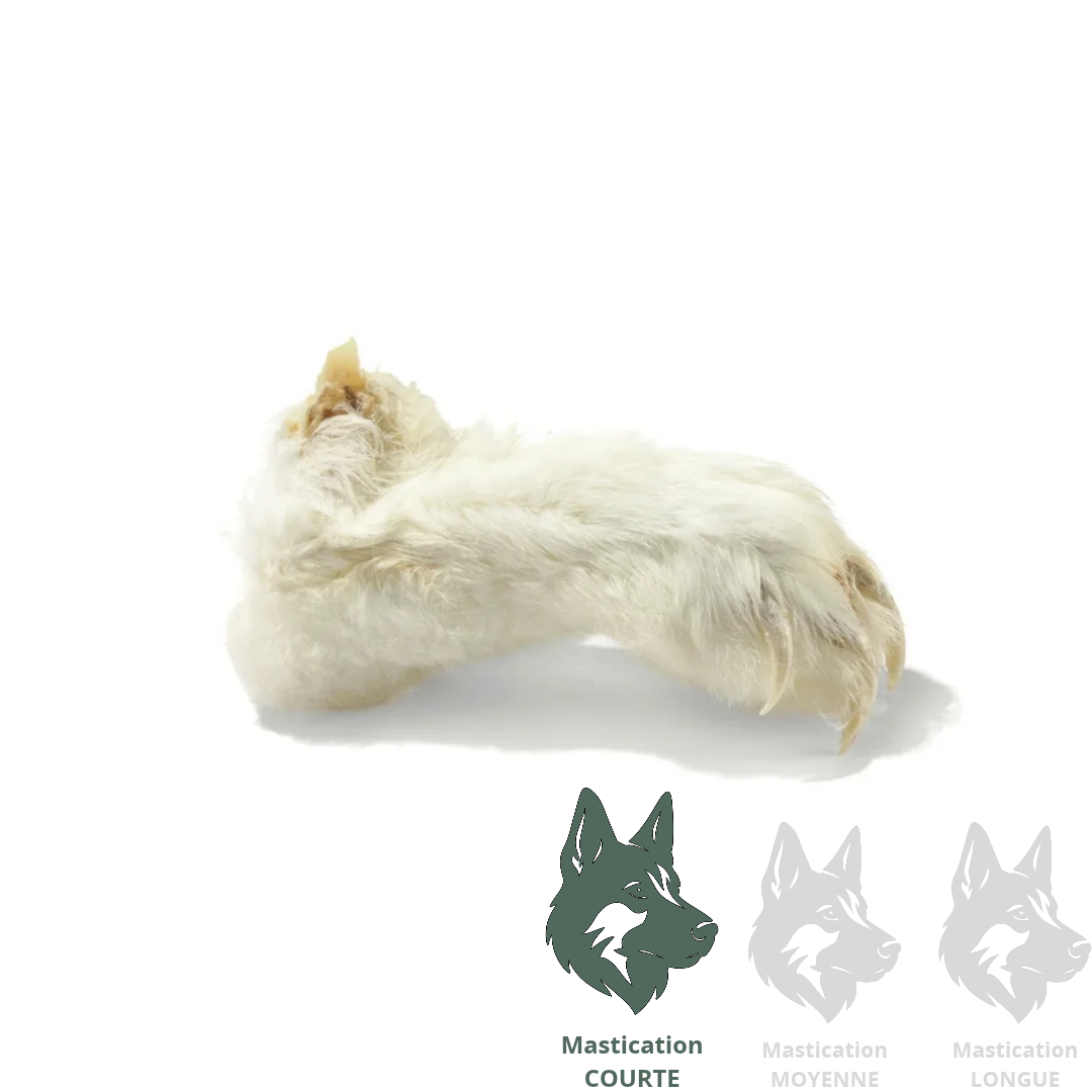 G4P | Patte de lapin (unité) - Gâterie déshydratée pour chiens et chats Solution Nutrition Animale Saguenay