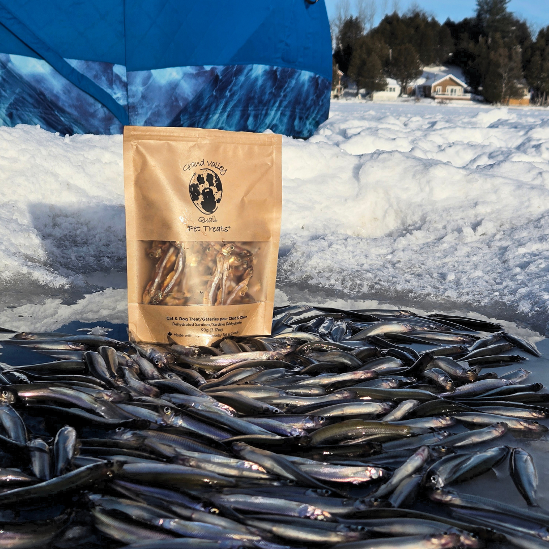 Grand Valley Quail sardines