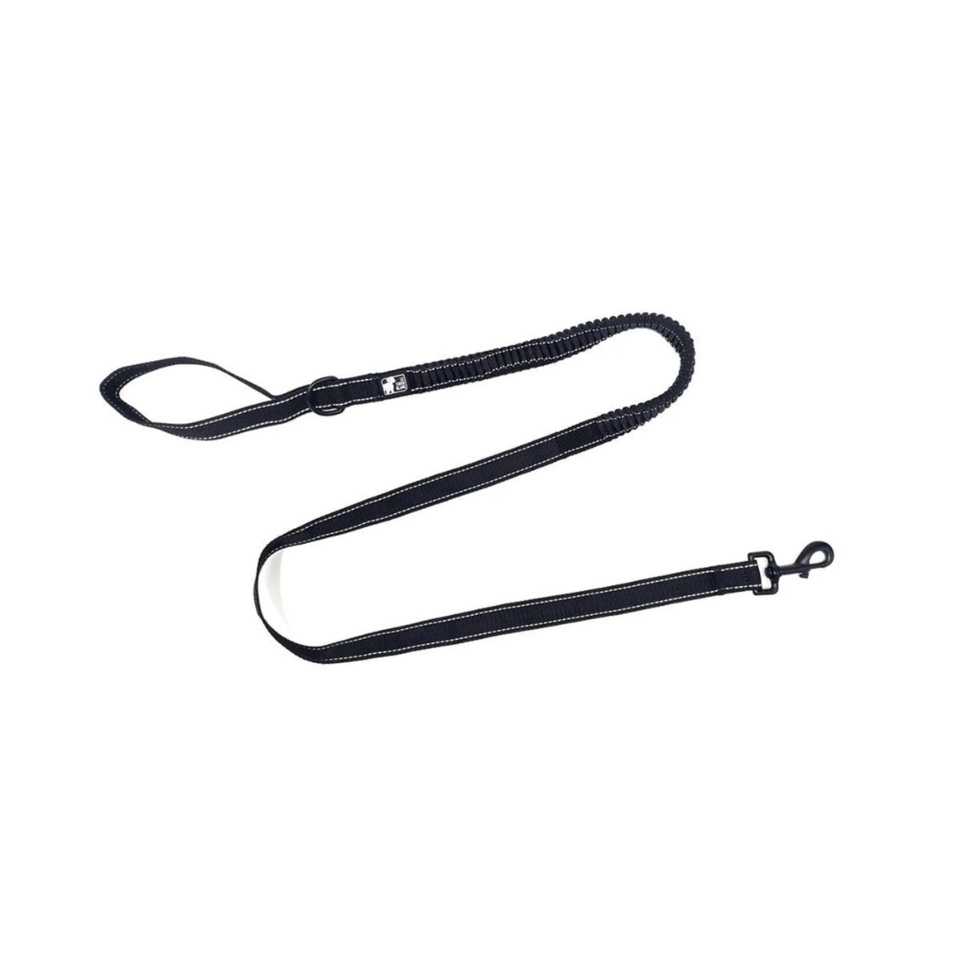 LE CHIEN BLANC | Laisse bungee Solution Nutrition Animale Saguenay