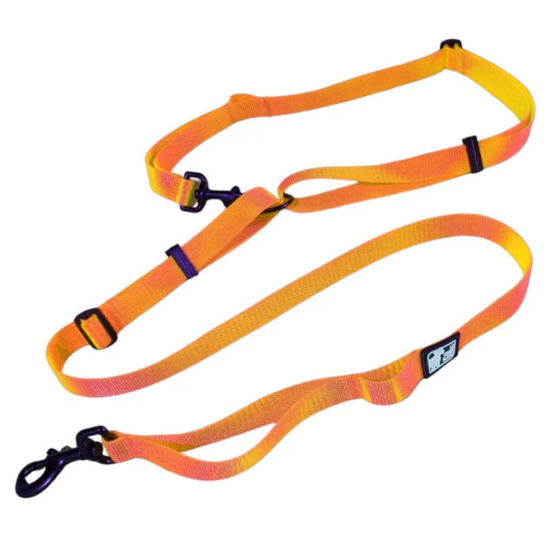 LE CHIEN BLANC | Laisse multi orange
