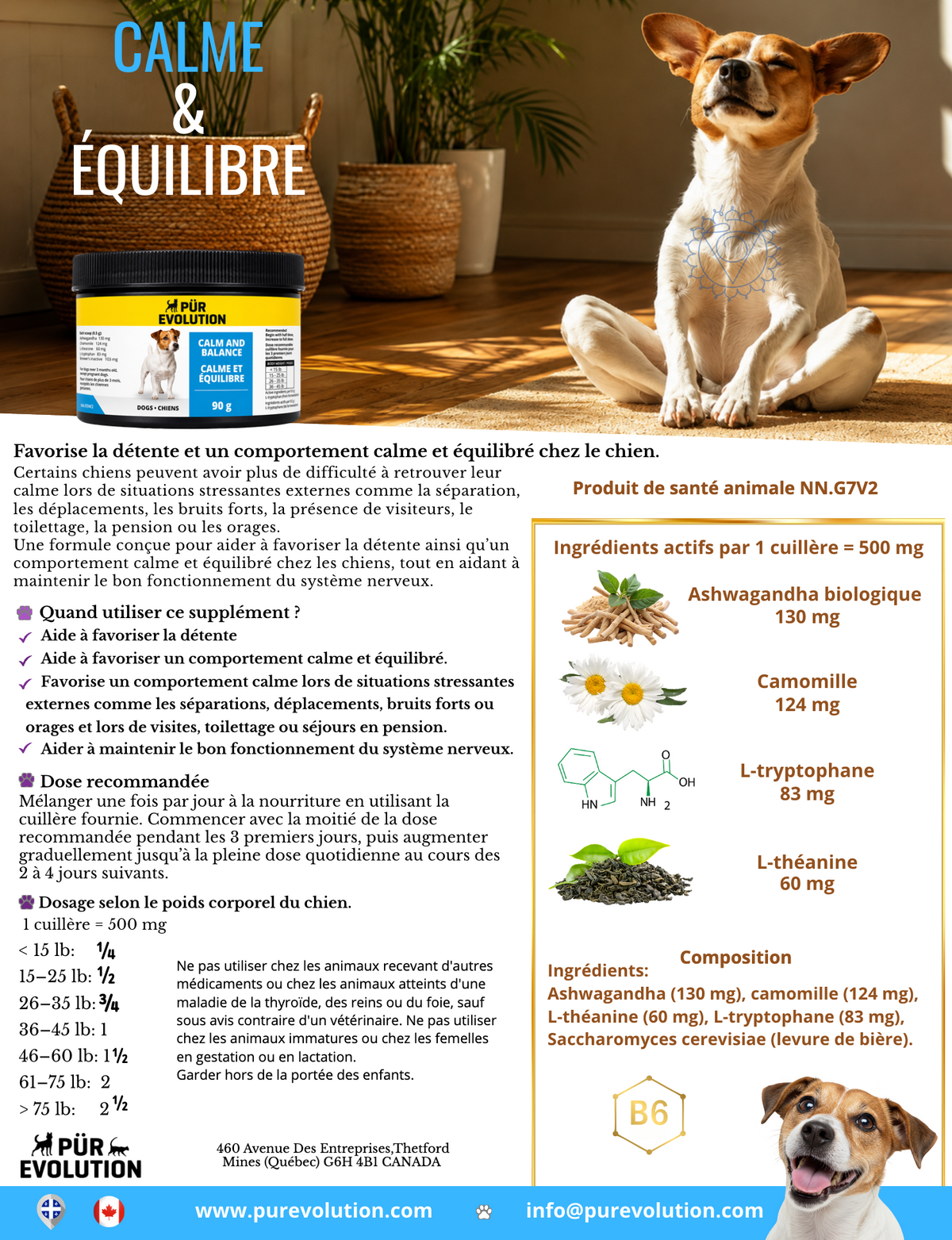 PÜR ÉVOLUTION | Calme et équilibre, supplément chien 90g Solution Nutrition Animale Saguenay