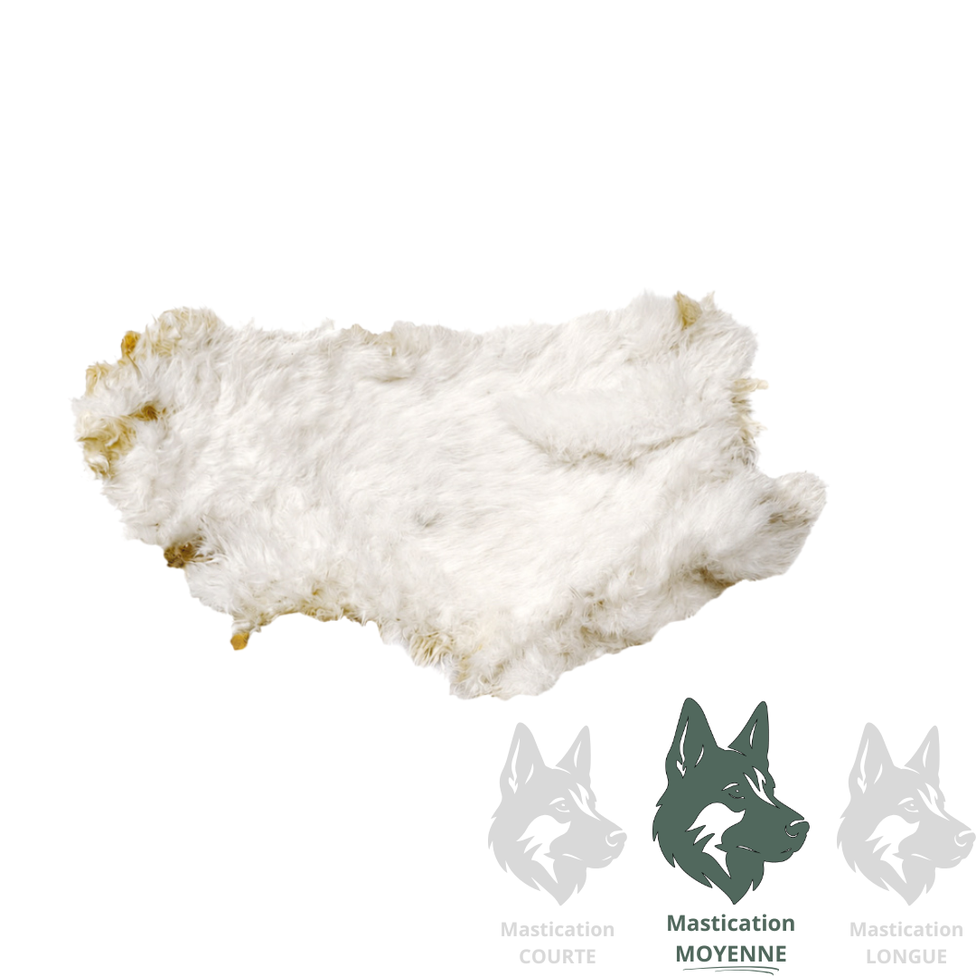 Peau de lapin - Gâterie déshydratée pour chiens et chats Solution Nutrition Animale Saguenay