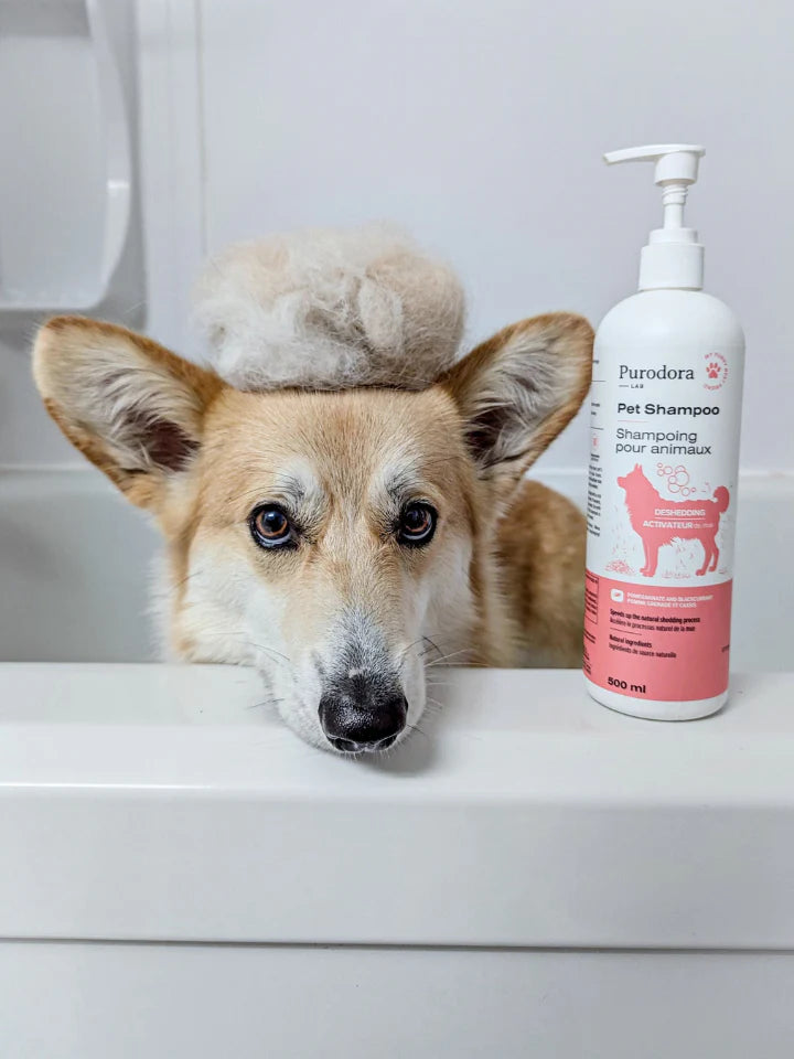 PURODORA LAB | Shampoing activateur de mue chien