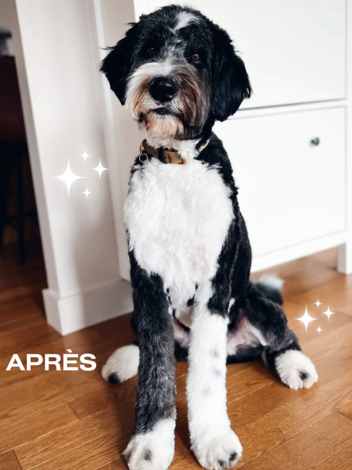 PURODORA LAB | Shampoing mauve pour animaux 500 ml