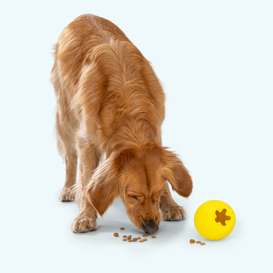 LIQUIDATION WEST PAW | Rumbl