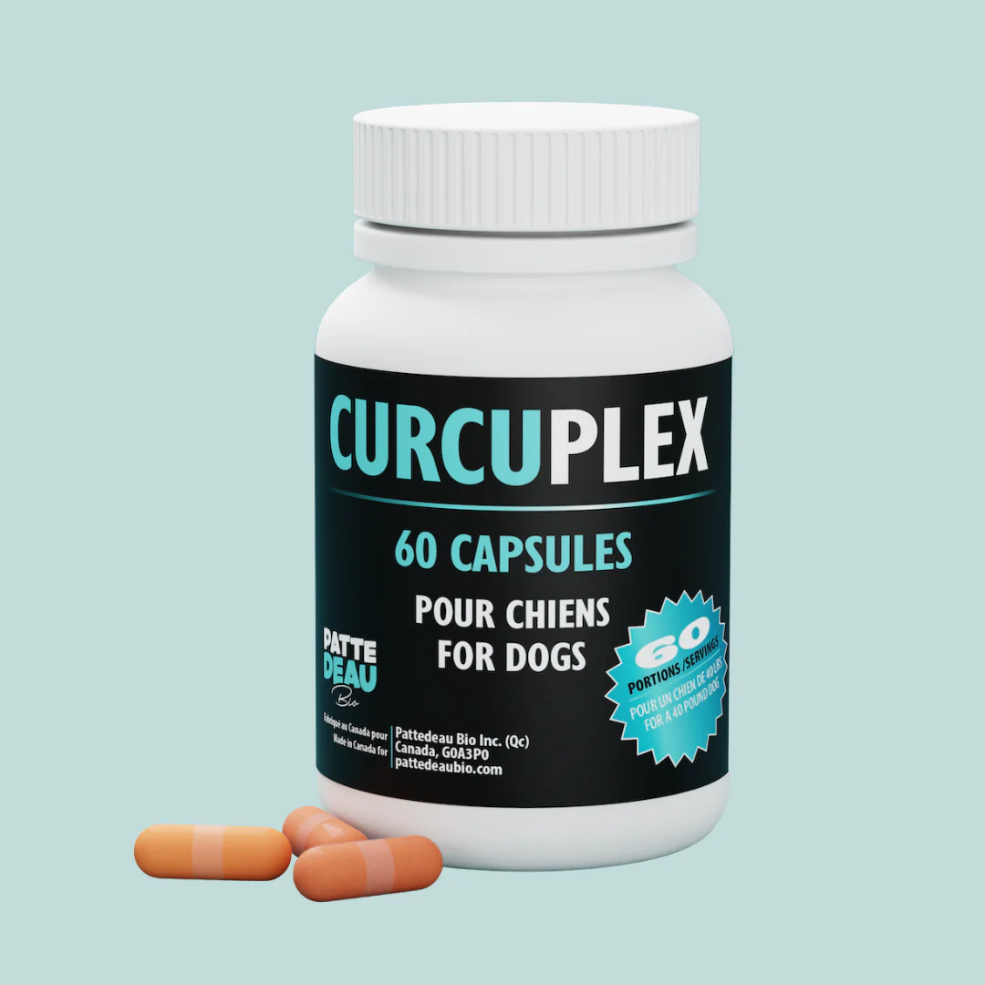 PATTEDEAU Bio | Curcuplex