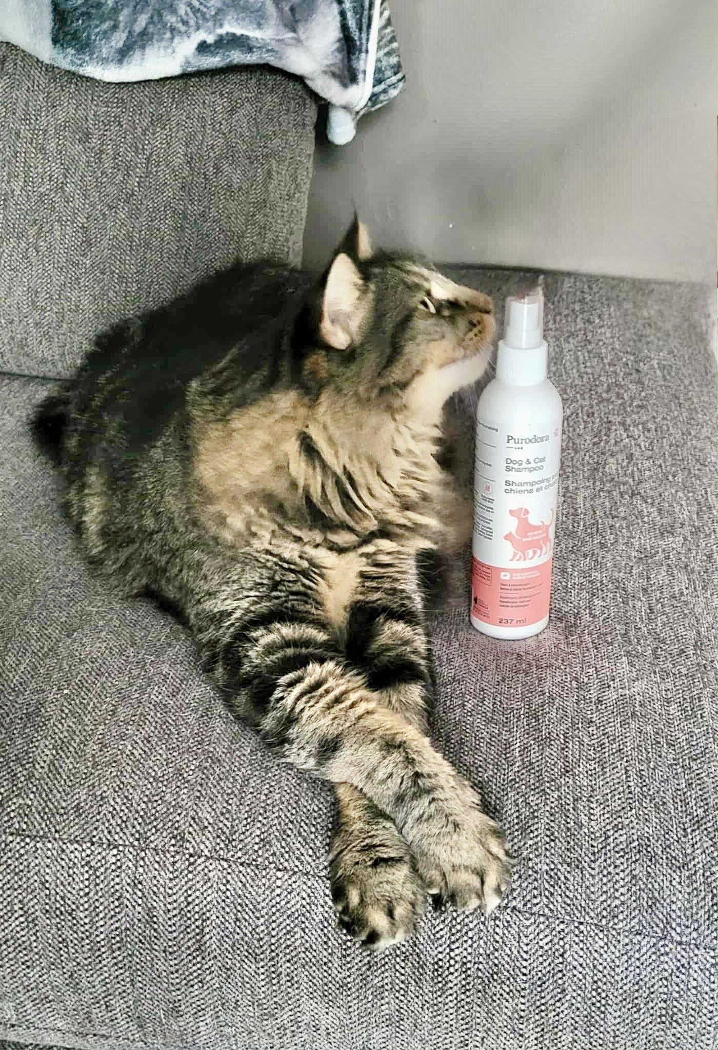 PURODORA LAB | Shampoing sans rinçage pour animaux