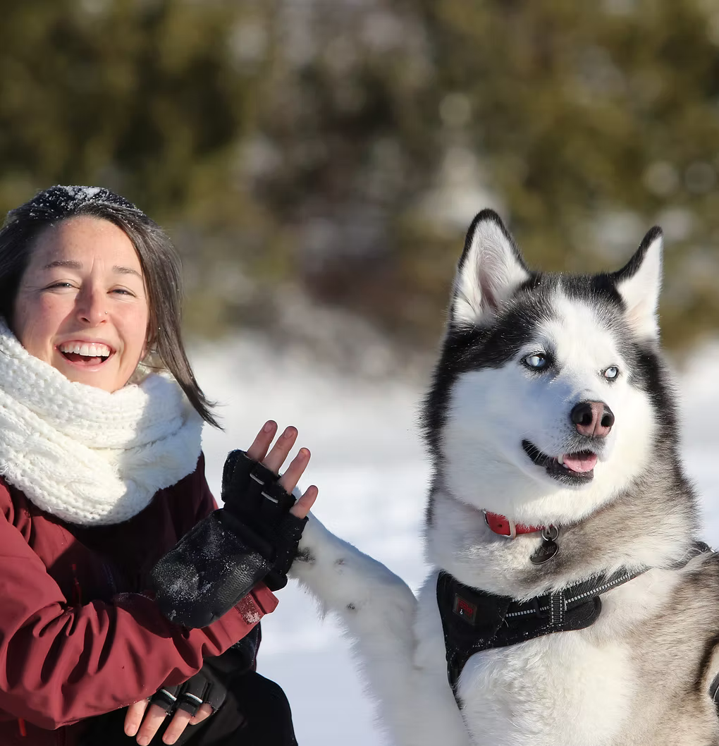 So Complice avec ton chien