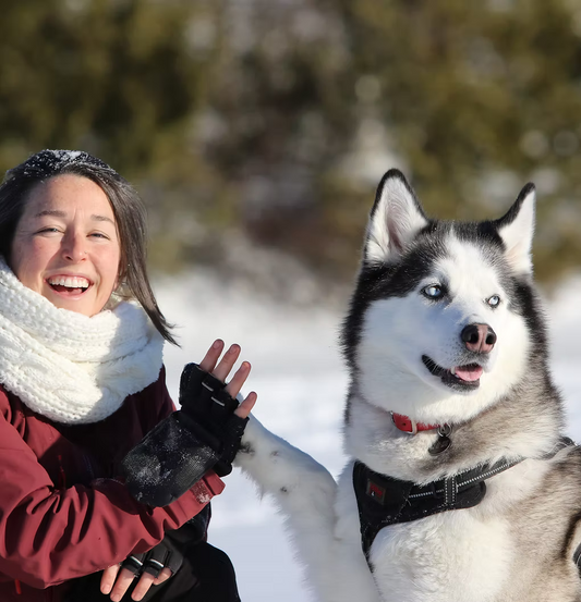 So Complice avec ton chien