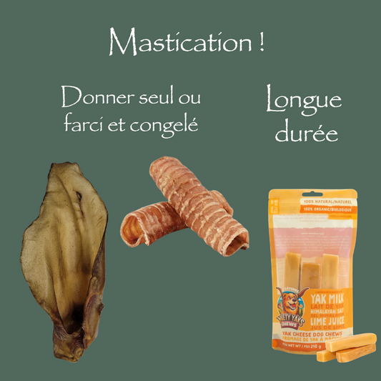 Mastication naturelle