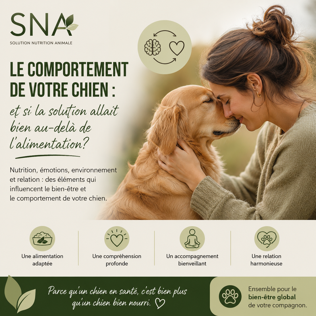 Lien entre alimentation et comportement canin