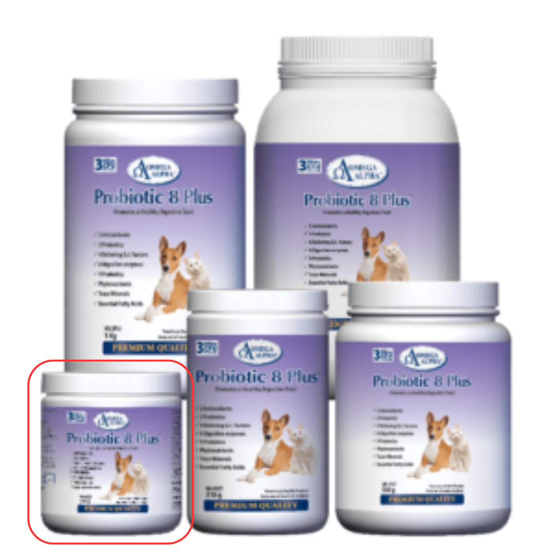 OMEGA ALPHA | Probiotique 8 plus - Supplément pour chien et chat