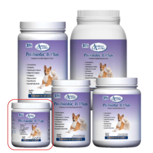 OMEGA ALPHA | Probiotique 8 plus