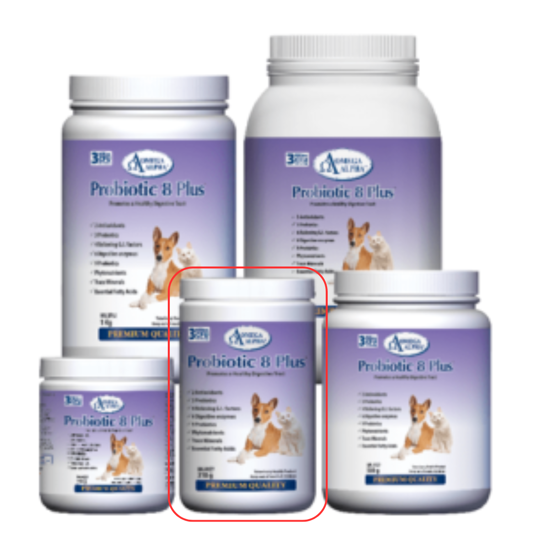 OMEGA ALPHA | Probiotique 8 plus - Supplément pour chien et chat