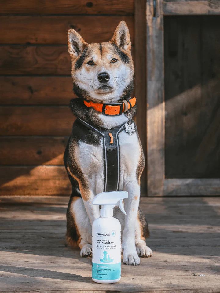 PURODORA LAB | Neutralisant d'odeur de literie animaux 473 ml