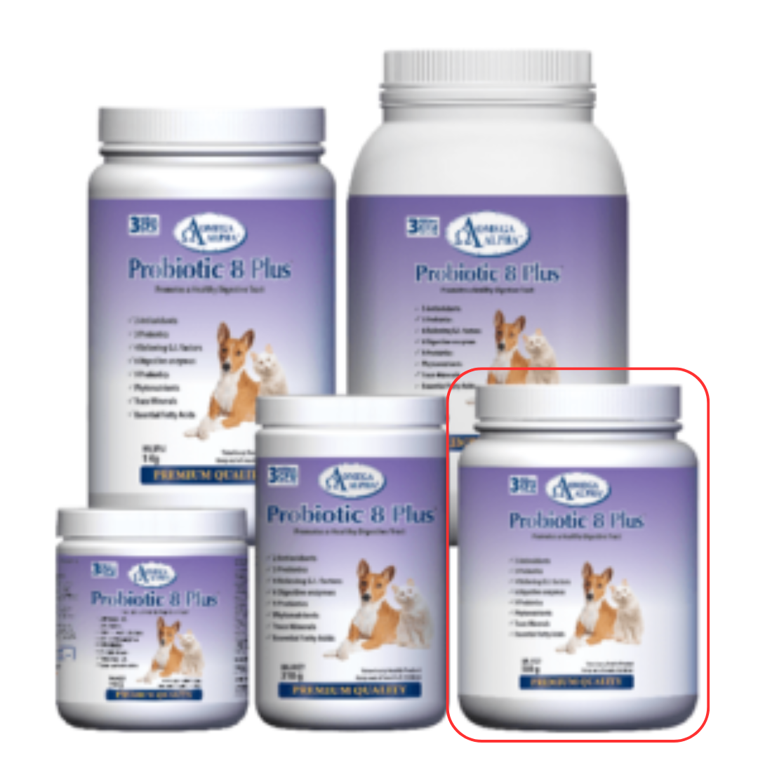 OMEGA ALPHA | Probiotique 8 plus - Supplément pour chien et chat
