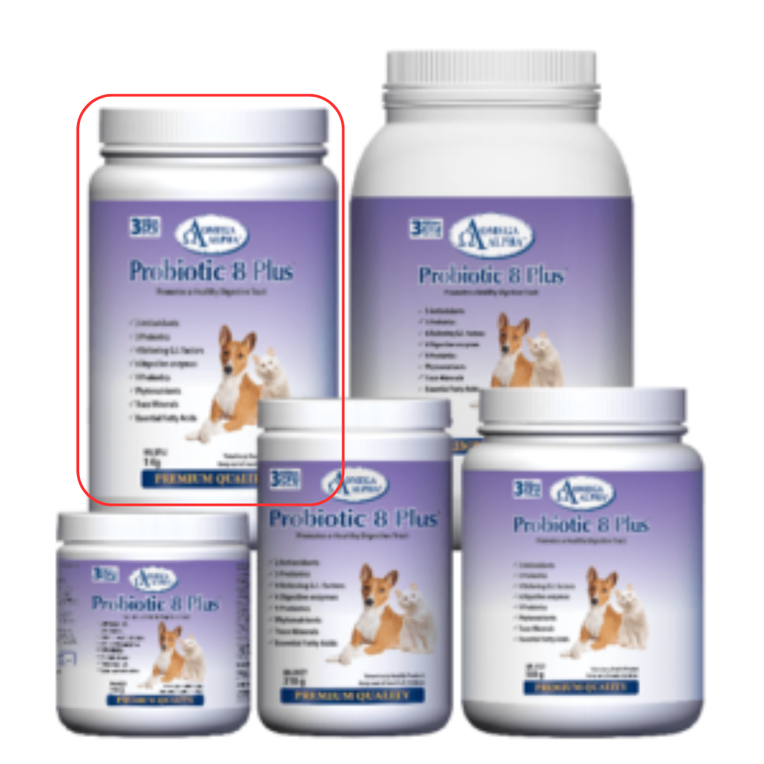 OMEGA ALPHA | Probiotique 8 plus - Supplément pour chien et chat
