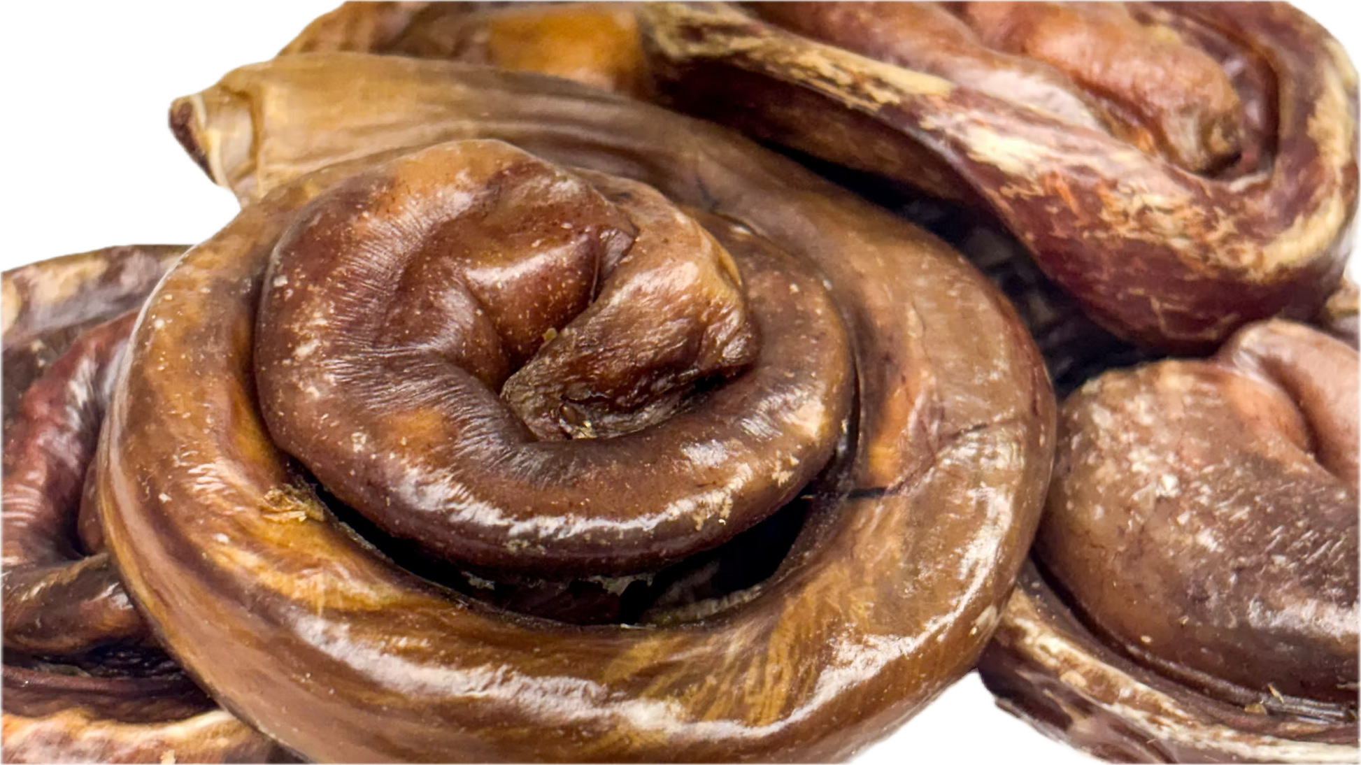 KYON | Oesophage de porc brioche. Solution Nutrition Animale, votre référence en besoin nutritionnel pour chiens et chats au Québec.