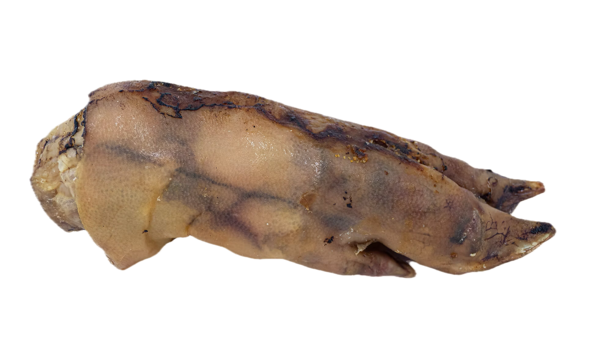 KYON | Patte de porc. Solution Nutrition Animale, votre référence en besoin nutritionnel pour chiens et chats au Québec.