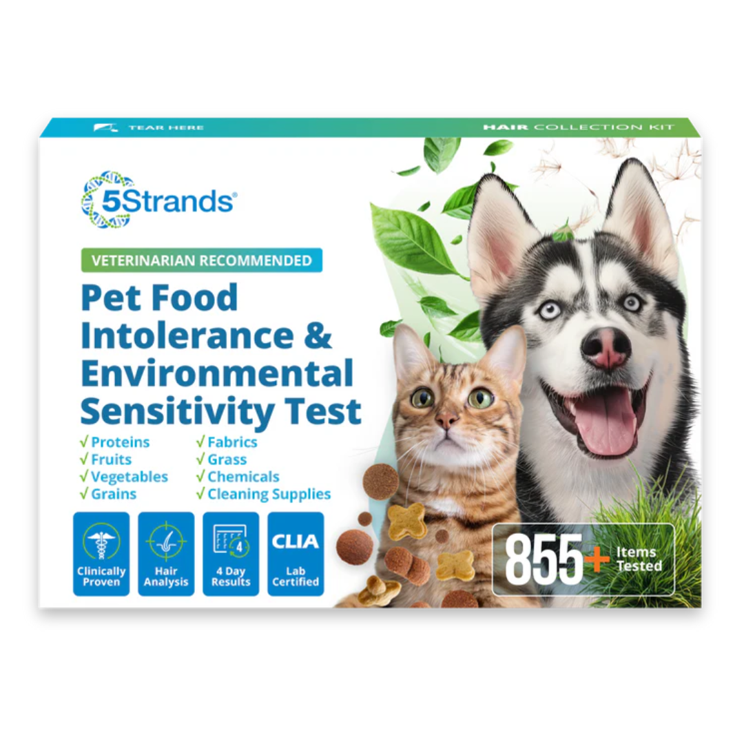 5Strands kit test intolérances alimentaires et environnementales. Solution Nutrition Animale