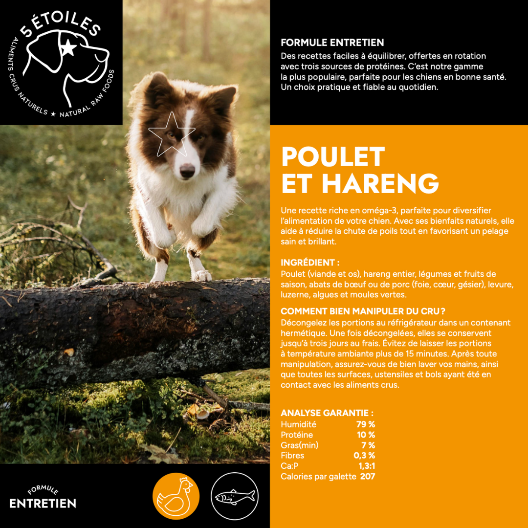 5 ÉTOILES | Entretien Poulet et Hareng 10 lbs - Nourriture crue pour chiens