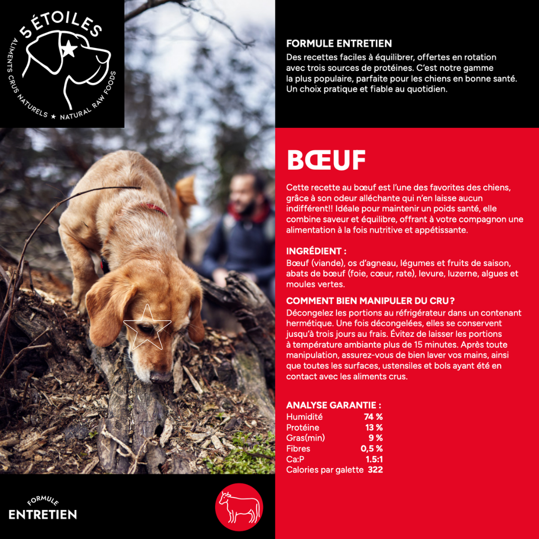 5 ÉTOILES | Entretient Boeuf 10 lbs - Nourriture crue pour chiens