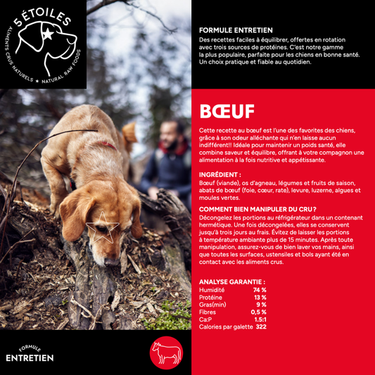 5 ÉTOILES | Entretient Boeuf 10 lbs - Nourriture crue pour chiens