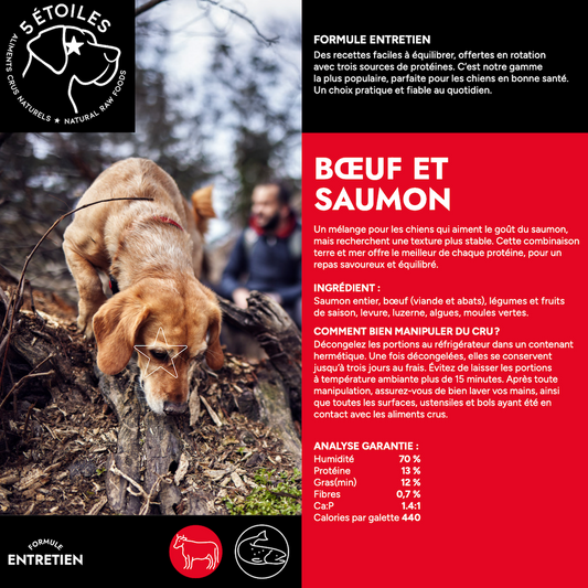 5 ÉTOILES | Entretient Boeuf et Saumon 10 lbs - Nourriture crue pour chiens
