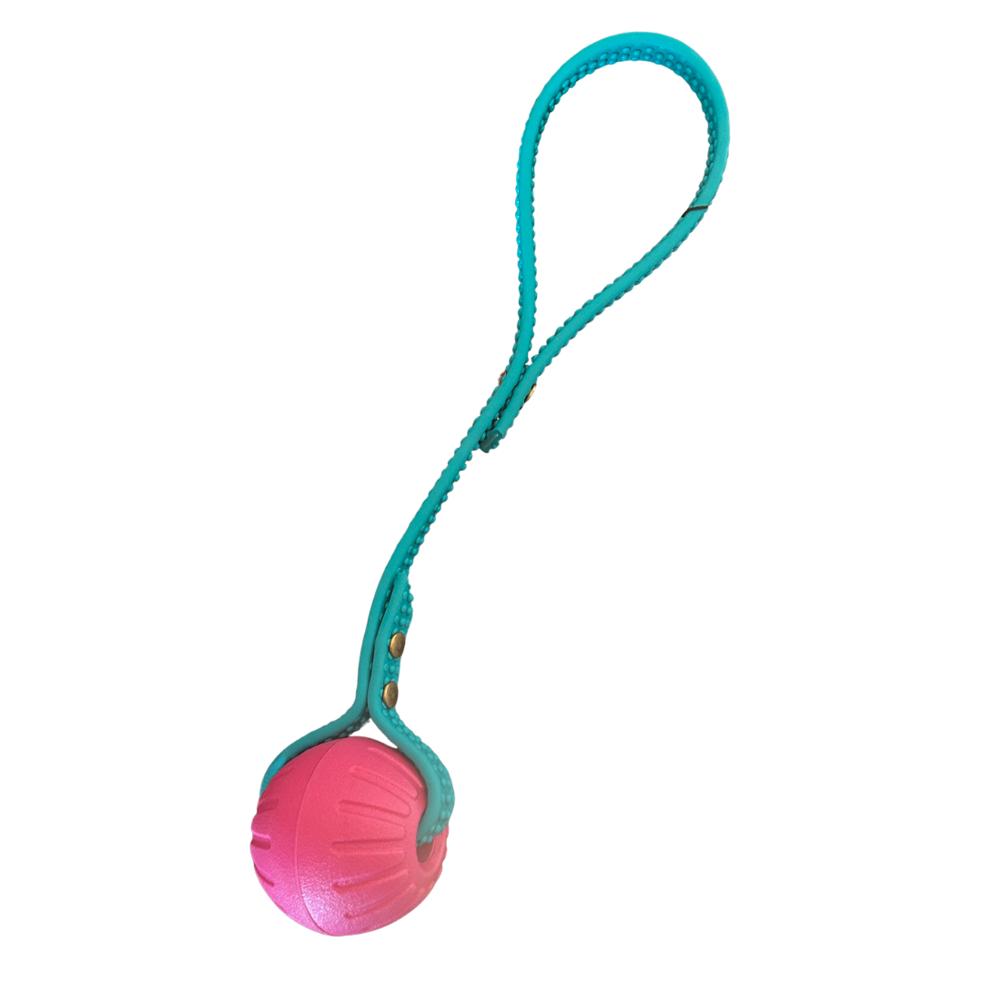 ATELIER MERAKI | Balle TUG poignée en Biothane turquoise