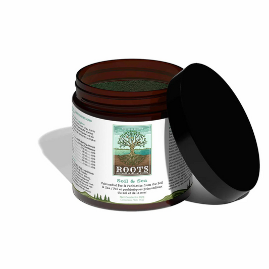 Adored Beast bactéries spécifiques