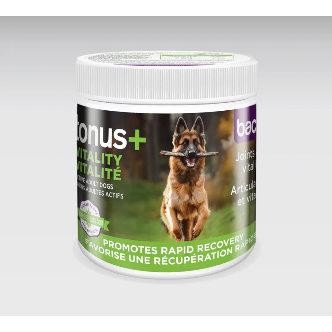 Tonus+ Baci+ poudre pour chien – vitalité, articulations et digestion améliorées, formule naturelle 250 g
