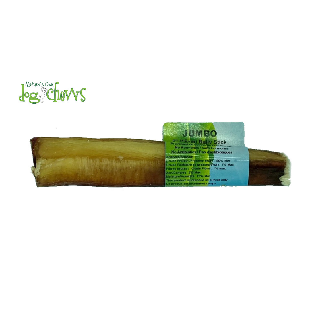 Nature's Own bully Stick mastication boeuf
