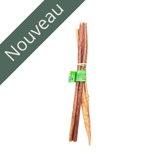 Bully Stick sans odeur 12'' (2 unités) Solution Nutrition Animale Saguenay